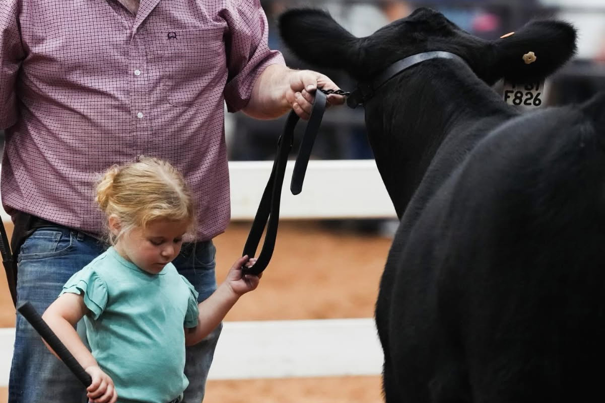 image000000 2 cropped